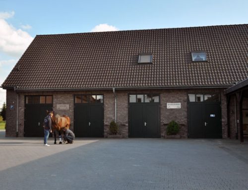 Merger with Equine clinic Meerbusch