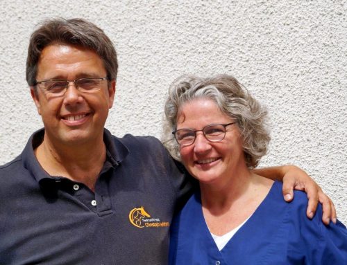 Merger with the veterinary practice Christoph Hellmann in Ahaus