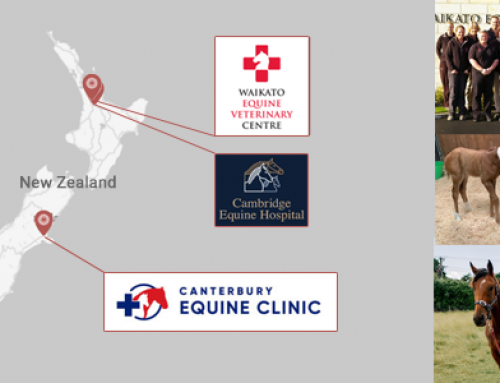 Strategic Partnerships in New Zealand