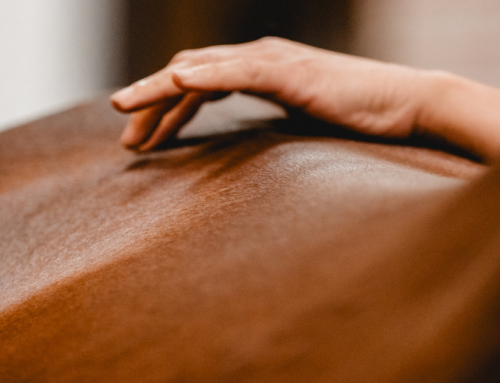 Ausbildung Chiropraktiker für Pferde – Qualifizierte Weiterbildung für Pferdetherapie