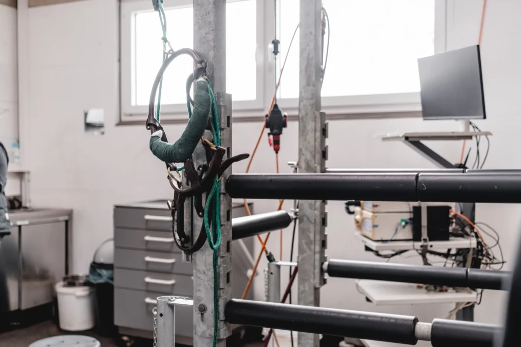 Raum bei einem Tierarzt mit Materialien.